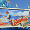 Disney's California Adventure Paradise Pier August 2011