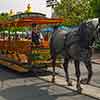 Disneyland Central Plaza Horse-Drawn Street Car, May 2006