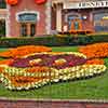 Disneyland Mickey Mouse entrance floral, Halloween, September 2011