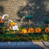 Disneyland Halloween October 2014