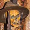 Indiana Jones Temple Cave Skull with hat, June 2008