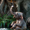 Disneyland Jungle Cruise Elephant pool July 2012