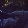 Disneyland Jungle Cruise Elephant bathing pool, June 1968