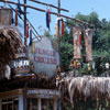 Disneyland Jungle Cruise entrance photo, May 1960