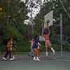 Playing basketball, UCLA, Summer 1986