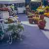 Flower Market, 1969