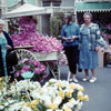 Disneyland Main Street Flower Market May 1961