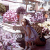 Disneyland Main Street Flower Market photo May 1961