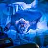 Disneyland Abominable Snowman, Matterhorn attraction, July 2015