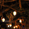 Blue Bayou Restaurant in New Orleans Square at Disneyland March 2012