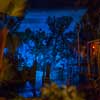 Blue Bayou Restaurant in New Orleans Square at Disneyland photo, October 2014