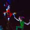 Disneyland Peter Pan's Flight attraction March 2016