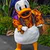 Donald Duck, Disneyland POTC On Stranger Tides Premiere, May 7, 2011