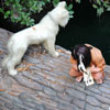 Disneyland Rivers of America Indian boy and dog, August 2008