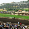 Del Mar Race Track August 2002
