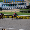 Del Mar Race Track August 2010