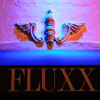 Flux Nightclub in San Diego December 2010
