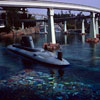 Disneyland Submarine Voyage photo, March 1966