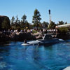 Disneyland Submarine Voyage photo, July 1964