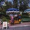 Disneyland Central Plaza orange tree, October 1960