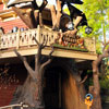 Disneyland Critter Country March 2012