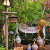 Disneyland Critter Country March 2012