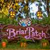 Critter Country Briar Patch sign, August 2007