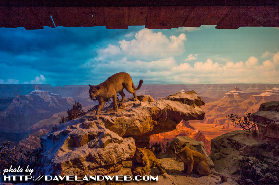 Disneyland railroad best sale grand canyon