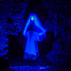 Disneyland Haunted Mansion Little Leota May 2012