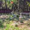Disneyland Haunted Mansion pet cemetery