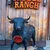 Saddle Ranch, Sunset Boulevard, Hollywood, December 2024