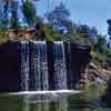 Disneyland Jungle Cruise back side of water photo, August 27 1955