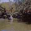 Disneyland Jungle Cruise Elephant Wading Pool, September 1963