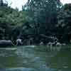 Disneyland Jungle Cruise Elephant Wading Pool, July 1967