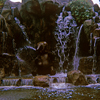 Disneyland Jungle Cruise Elephant Wading Pool, October 1966