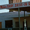 Lemon Grove Miller Dairy 1955