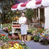 Flower Market 1960s