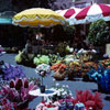 Flower Market, July 1964