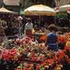 Disneyland Flower Market, West Center Street, 1965