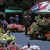 Flower Market May 11, 1960
