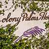 Colony Palms Hotel in Palm Springs December 2008