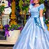 Cinderella, Disneyland Christmas Fantasy Parade, December 2, 2006