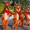 Reindeer, Disneyland Christmas Fantasy Parade, December 2, 2006