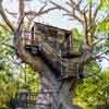 Treehouse at Pirate's Lair at Tom Sawyer Island, August 2008