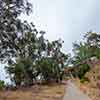 Trail to Gold Gulch, Balboa Park, San Diego, August 2024