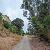 Trail to Gold Gulch, Balboa Park, San Diego, August 2024