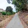 Trail to Gold Gulch, Balboa Park, San Diego, August 2024