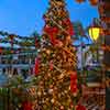 Lafayette Hotel and Club Christmas decor, San Diego, December 2024