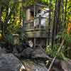 Disneyland Tarzan's Treehouse October 2011