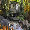 Disneyland Tarzan's Treehouse October 2011